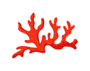 Red Coral
