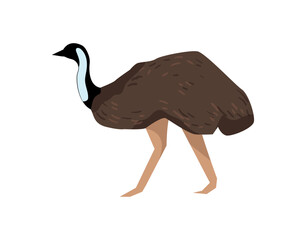 Emu Bird