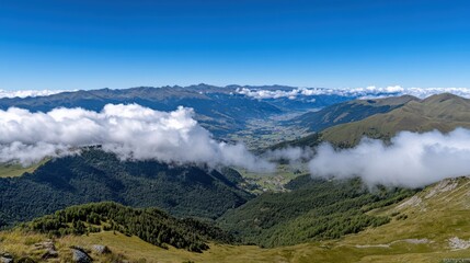 Fototapeta premium A skydiver pierces through fluffy white clouds against an expansive view of the verdant valley below.