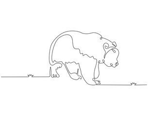 Continuous line drawing of bear animal. Single line illustration of brown bear. Mammal animal concept. Editable outline