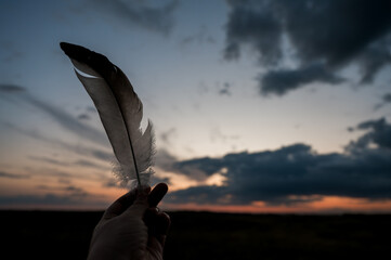 A hand holding a delicate bird feather against a dramatic sunset cloudy golden blue sky,...