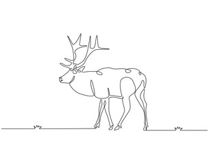 Continuous line drawing of deer horned. Single line illustration of deer or moose. Hunting animal, horned animal concept. Editable outline