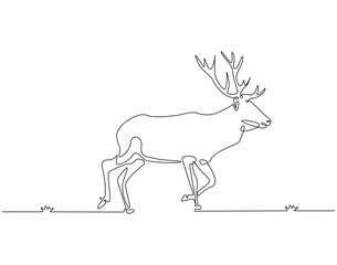 Continuous line drawing of deer horned. Single line illustration of deer or moose. Hunting animal, horned animal concept. Editable outline