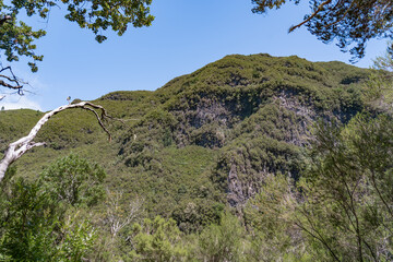 Beautiful views during hiking the irrigation system also called levada. 
