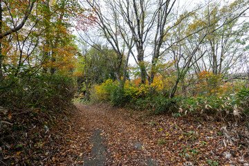 Naklejka premium Historic old road “Salt Road” which is also a long distance hiking course and its surroundings