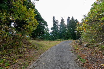 Historic old road “Salt Road” which is also a long distance hiking course and its surroundings
