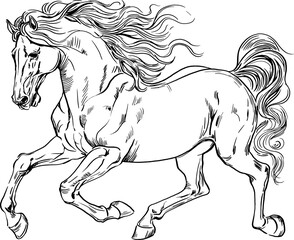 The horse rushes forward, its mane and tail fluttering in the wind. It is suitable for creating sketches of tattoos, scientific manuals on animal anatomy, fashion design and printed products.