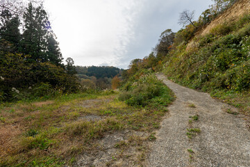 Historic old road “Salt Road” which is also a long distance hiking course and its surroundings
