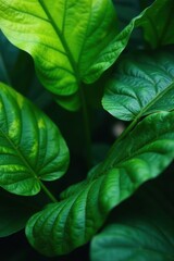 Lush green leaves, vibrant textures, tropical foliage , organic, image