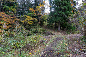 Historic old road &ldquo;Salt Road&rdquo; which is also a long distance hiking course and its surroundings
