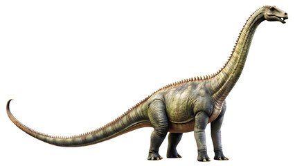 Fototapeta premium Brachiosaurus Dinosaur Illustration Isolated on White Background as Transparent. PNG. AI GENERATED
