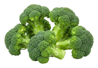 Isolated Grouping of Fresh Green Broccoli Florets with Textured Surfaces