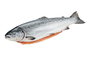 Naklejka premium Isolated Fresh Salmon on a White Surface