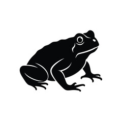 Toad Silhouette Vector Art Illustration and Toad Minimalist Black Color Design