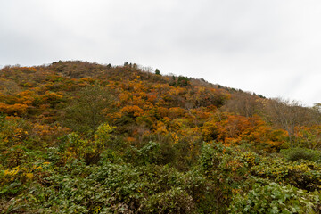 Historic old road “Salt Road” which is also a long distance hiking course and its surroundings