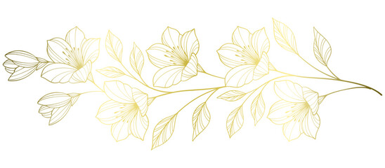 Line art floral botanical on transparent background vector. floral, flowers, leaves, foliage, branches in hand drawn. Floral element design © sense