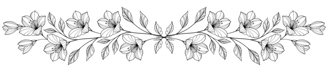 Line art floral botanical on transparent background vector. floral, flowers, leaves, foliage, branches in hand drawn. Floral element design