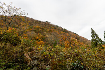 Fototapeta premium Historic old road “Salt Road” which is also a long distance hiking course and its surroundings