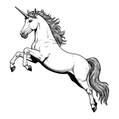 Reaching Unicorn with Detailed Mane in Black and White Outline Line Art Drawing