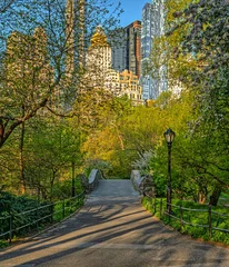 Gapstow Bridge in Central Park, early spring