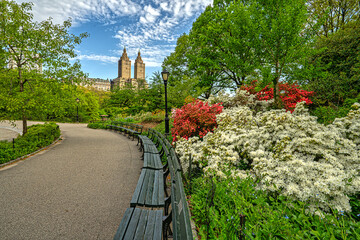 Central Park in spring