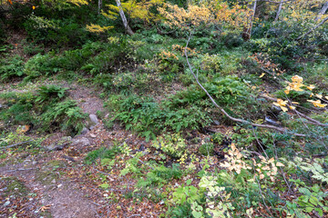 Historic old road “Salt Road” which is also a long distance hiking course and its surroundings