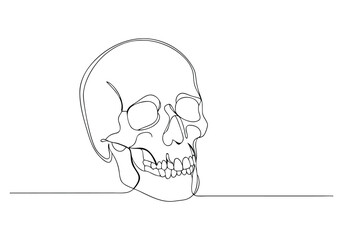Continuous One Line Human Skull | Minimalist Anatomy Vector Illustration