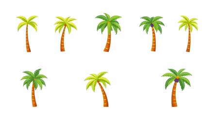 Obraz premium tropical palm trees