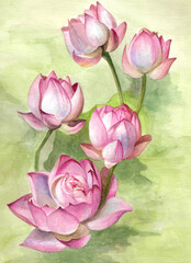 Watercolor illustration of lotus flowers. Bouquet of water lily. Romantic image for postcard or label design.