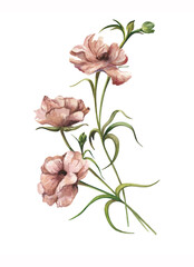 Tropical watercolor flowers isolated on white background. Botanical painting, illustration with bouquet of exotic flowers. Romantic postcard.