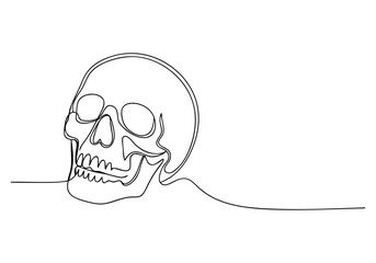 Continuous One Line Human Skull | Minimalist Anatomy Vector Illustration