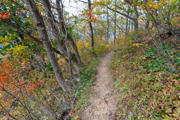 Historic old road “Salt Road” which is also a long distance hiking course and its surroundings