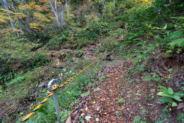 Historic old road “Salt Road” which is also a long distance hiking course and its surroundings