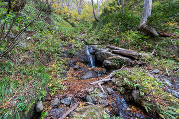 Historic old road “Salt Road” which is also a long distance hiking course and its surroundings