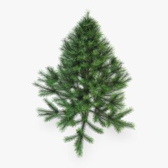 Illustration 3D Render Conifer Tree 150cm Xmas Decor