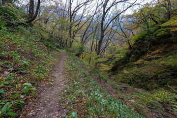 Historic old road “Salt Road” which is also a long distance hiking course and its surroundings