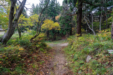 Historic old road “Salt Road” which is also a long distance hiking course and its surroundings