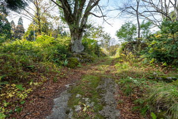 Historic old road “Salt Road” which is also a long distance hiking course and its surroundings
