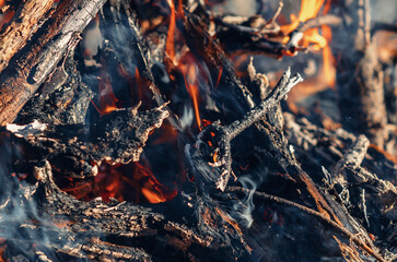 Rustic campfire flames dancing on wood in fall forest