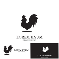 Rooster isolated logo icon vector illustration template design