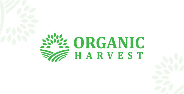 Ayushi Agrawal | 31 march 1998 | Logo Designer | ayushiagrawal552@gmail.com