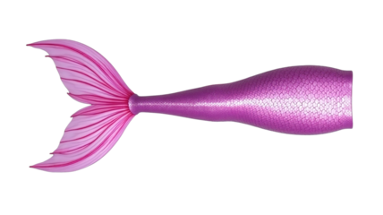 mermaid tail (png)
