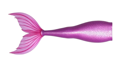 mermaid tail (png)