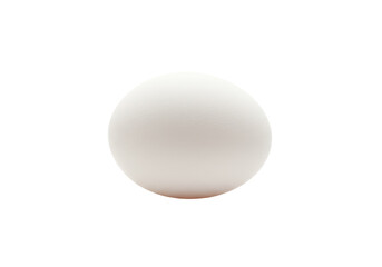 Isolated Single White Egg with Smooth Surface