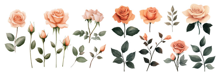 An exquisite watercolor vector featuring a collection of peach roses with varying sizes, complemented by soft pink and green leaves