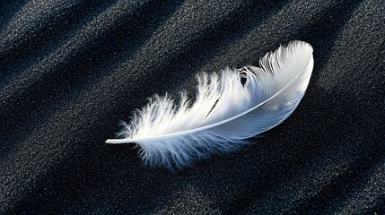 Single white feather on black sand