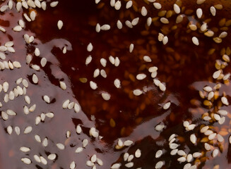 teriyaki sauce with sesame background texture
