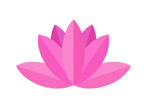 Pink Lotus