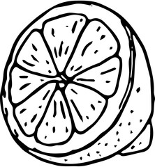 Fruit. Hand drawn vector isolated sketch. Lemon