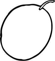 Fruit. Hand drawn vector isolated sketch. Passion fruit